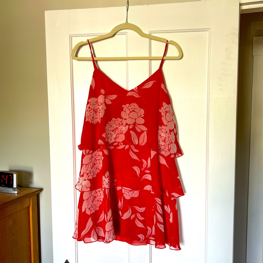 Show Me Your Mumu Suarez Ruffle Dress - Red Floral - Small - Picture 4 of 4